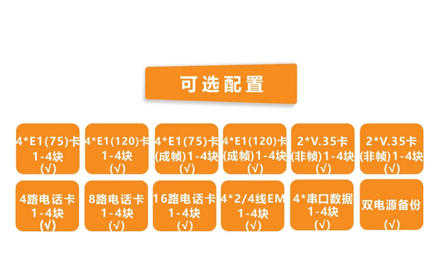 飞畅科技-模块化多业务  TDM Over IP  电路仿真网关
